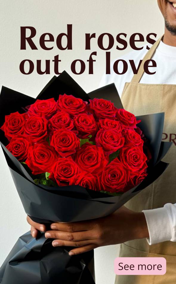 Send red roses Order red roses