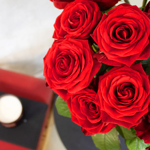Red roses - Red Naomi Red roses - Red Naomi