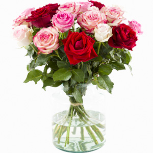 Rose bouquet pink-red