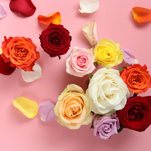Order and send roses