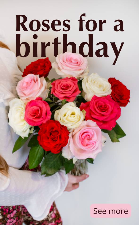 Roses for a birthday