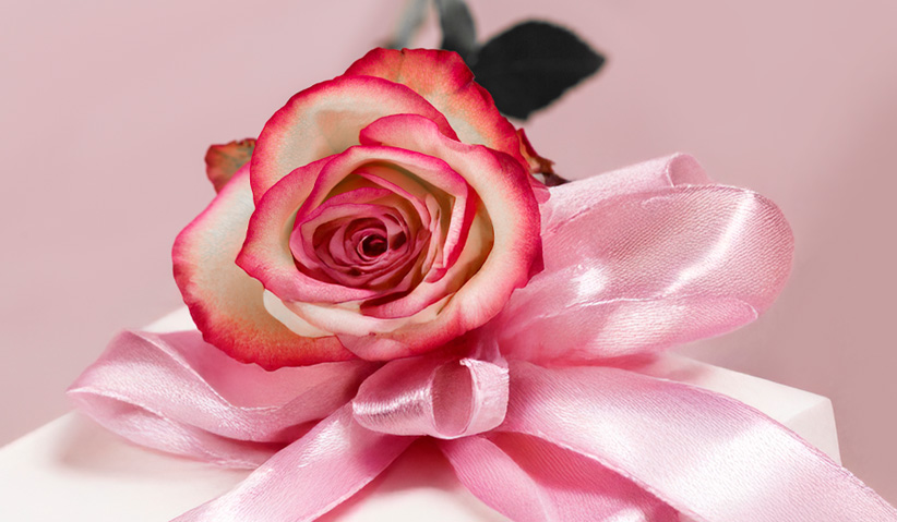 Roses for a birthday