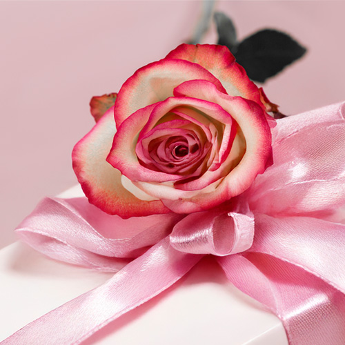 Roses for a birthday