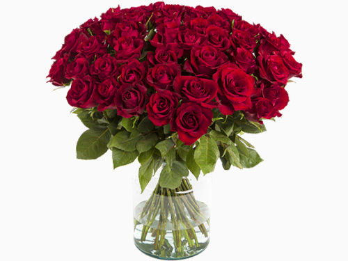 50 red roses - EverRed
