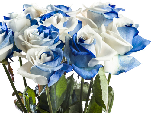 Order roses for your business