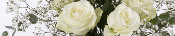 Roses with gypsophila and eucalyptus Roses with gypsophila and eucalyptus