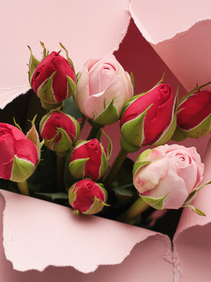 Roses for Singles' Day Singles' Day