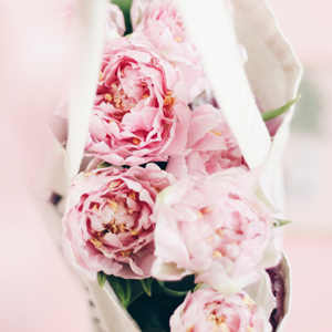 Soft pink peonies - Sarah Bernhardt