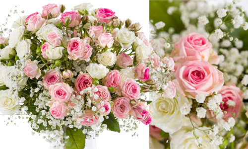 Ordering pink roses for your business