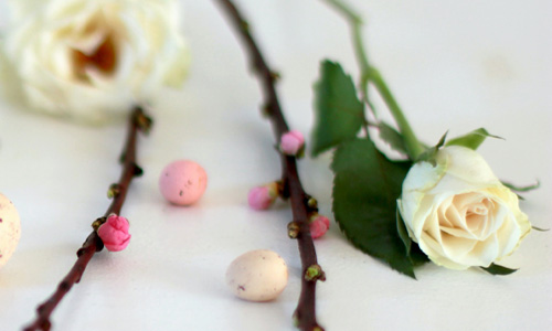 Blog: Spring in your home