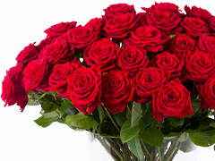 100 red roses - Valentine's Day