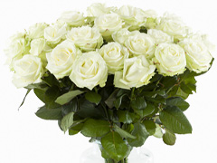 20 white roses