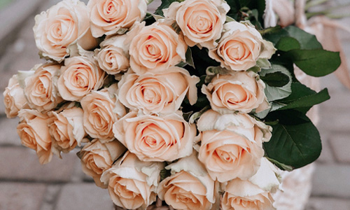 Blog: Exclusive roses