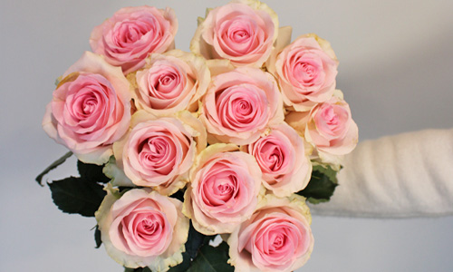 Blog: Meaning of pink roses