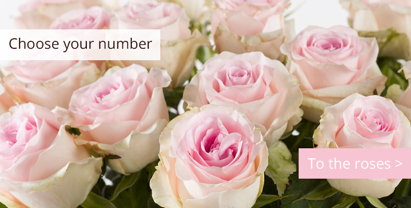 Choose your number of roses