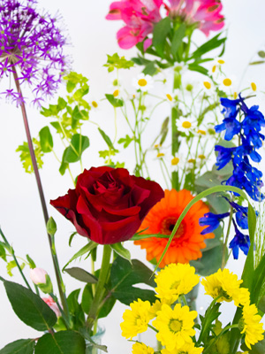 Centerpiece set colourful Centerpiece set colourful