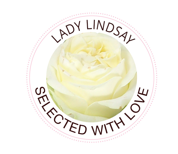 Lady Lindsay roses