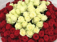Choose your number - Red and white roses