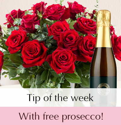 Red roses with free prosecco