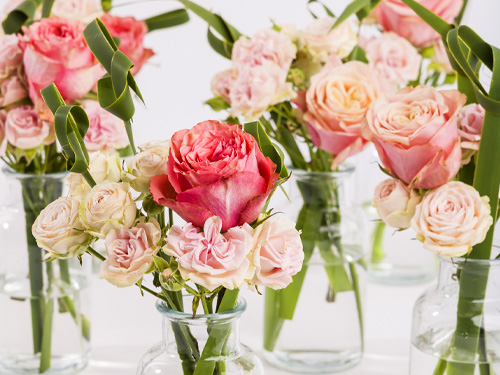 Order roses for events