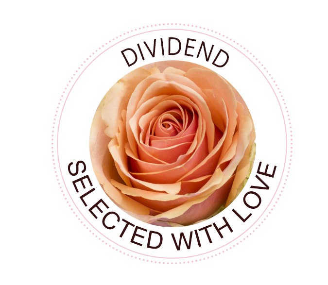Dividend rose Dividend rose