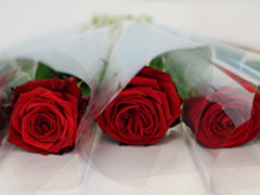 Roses for events