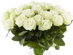White Avalanche roses