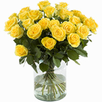 Yellow roses