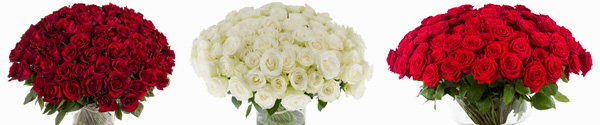 Send 100 roses 100 roses