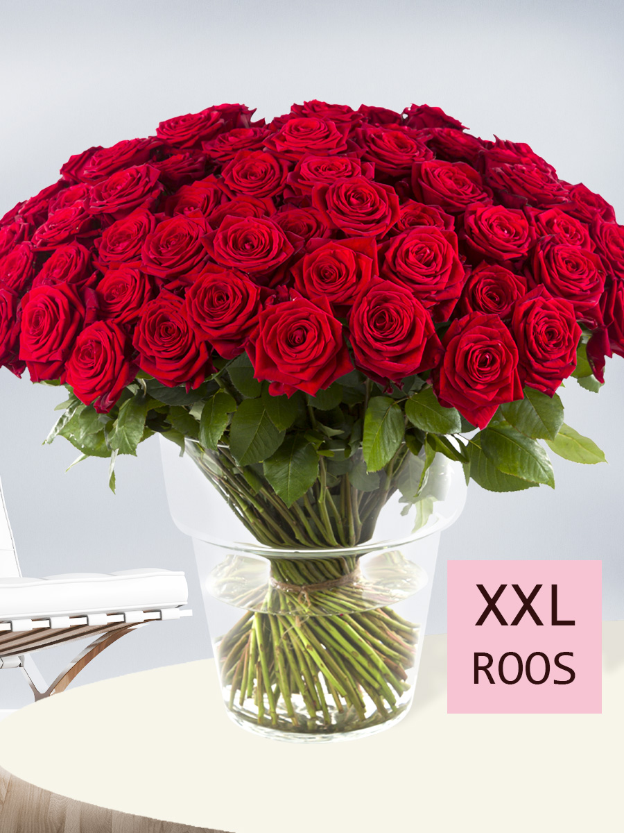 100 rode rozen