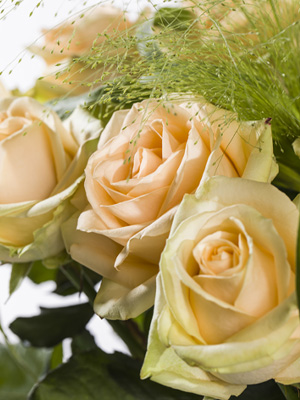 order and send salmon colored roses