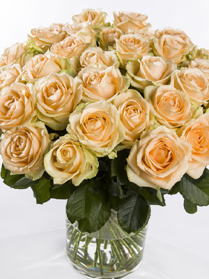 Deliver salmon colored roses
