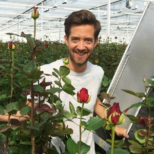 Tom Meewisse - Meewisse Roses Tom Meewisse - Meewisse Roses