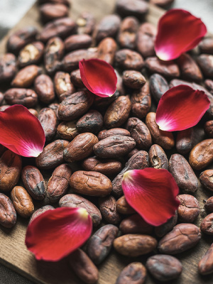Tony's Cacao
