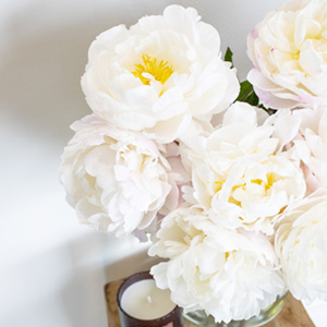 White-pink peonies