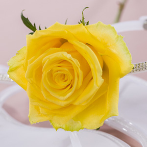 Yellow roses